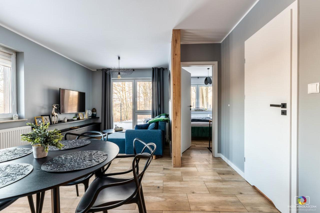 Apartament U Nas W Sudetach شكلارسكا بوريبا المظهر الخارجي الصورة